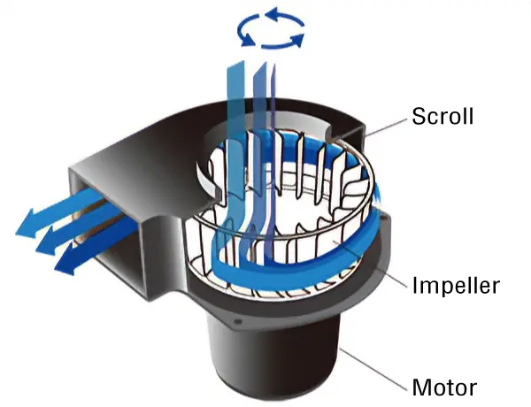 Image of swirling flow