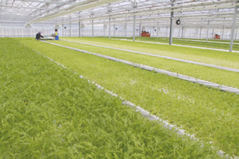 The State of Automated Agricultural Production