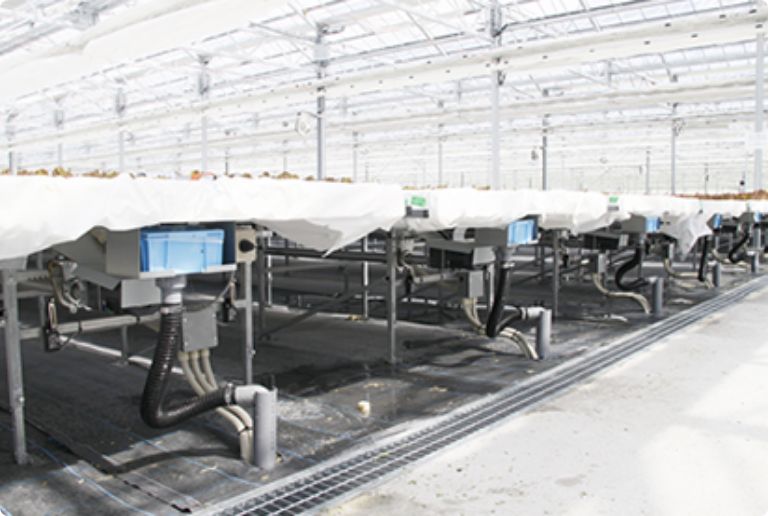 A View of Mobile Bed Equipment