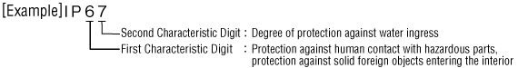 IP display example