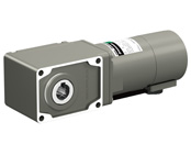 5IK100VESM-GHR30