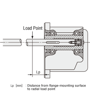 Lp [mm]: Distance from Flange-Mounting Surface to Radial Load Point