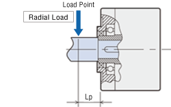 When One Side of the Load Shaft is Not Supported by the Bearing Unit