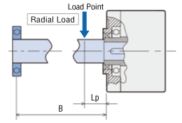 Radial Load